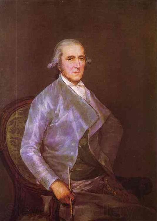 Francisco Jose de Goya Portrait of Francisco France oil painting art